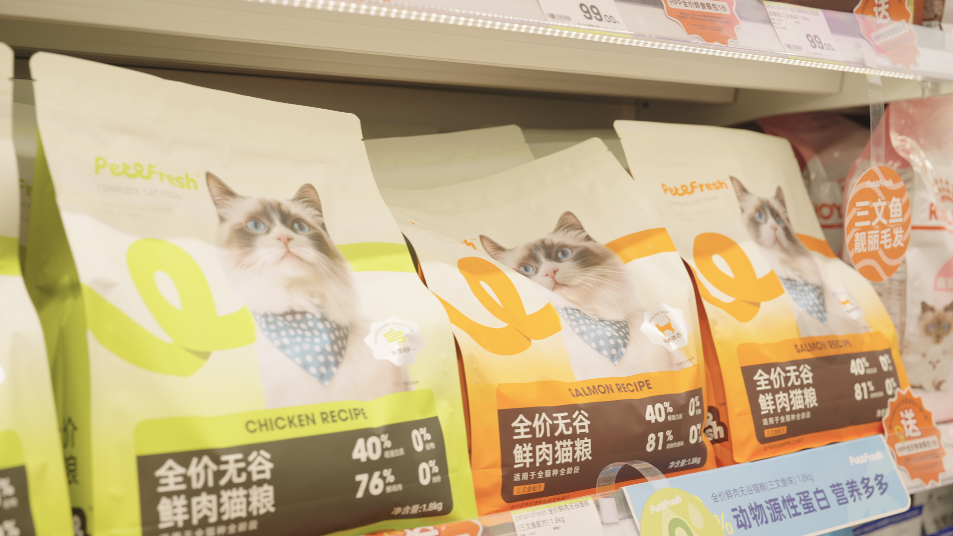 圖二（封面）.jpg